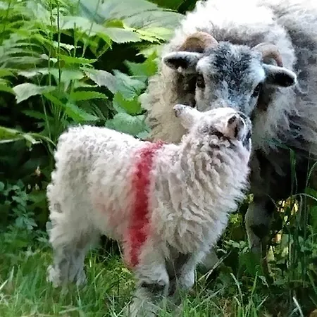 The Lakes Эмблсайд