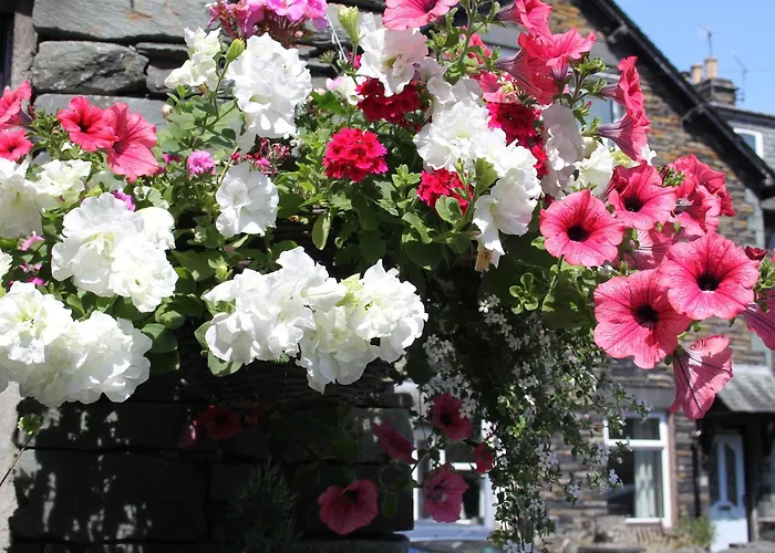 The Lakes فندق مبيت وإفطار