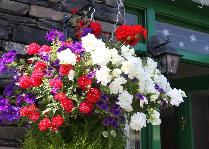 فندق مبيت وإفطار The Lakes 3*