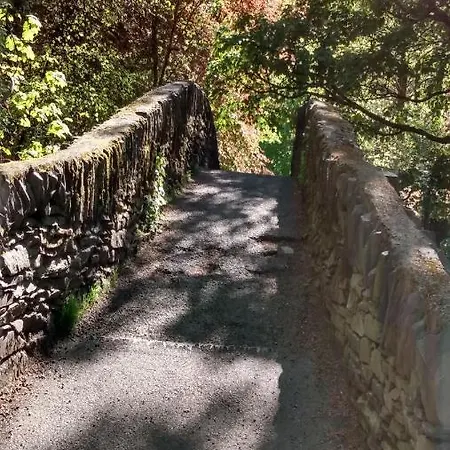 The Lakes Bed and Breakfast